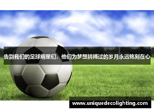 告别我们的足球明星们，他们为梦想拼搏过的岁月永远铭刻在心