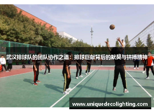 武汉排球队的团队协作之道：排球巨献背后的默契与拼搏精神