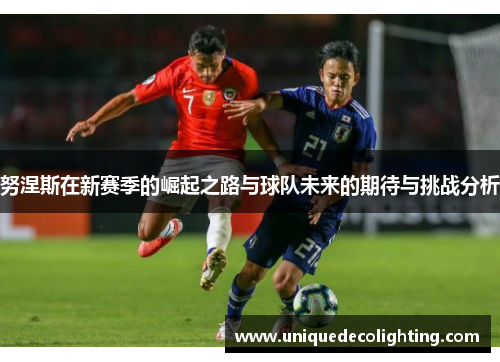 努涅斯在新赛季的崛起之路与球队未来的期待与挑战分析